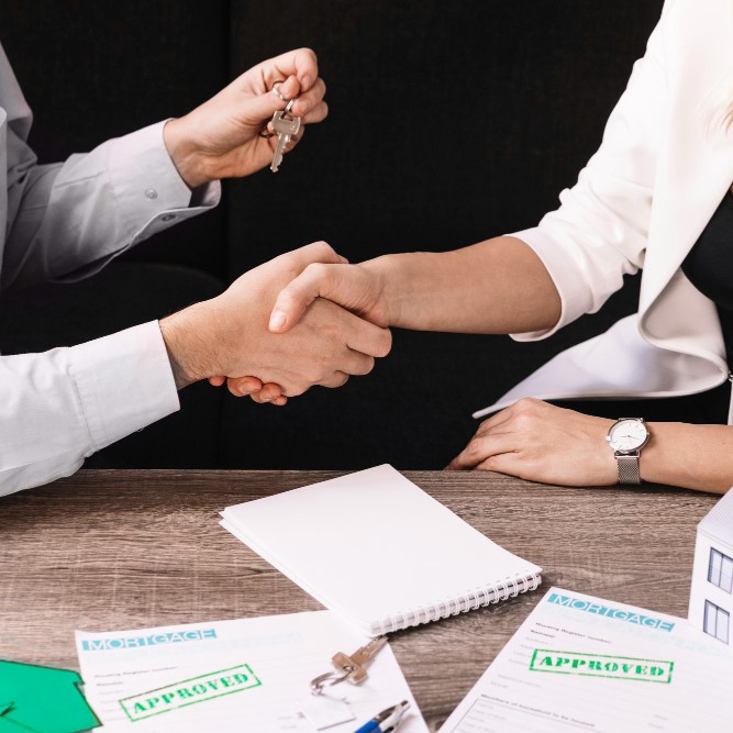 ROC Filing and Company Compliance Expert