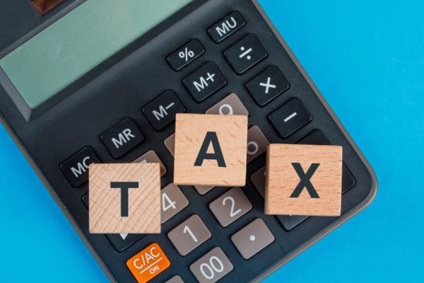 Income Tax Filing Consultant