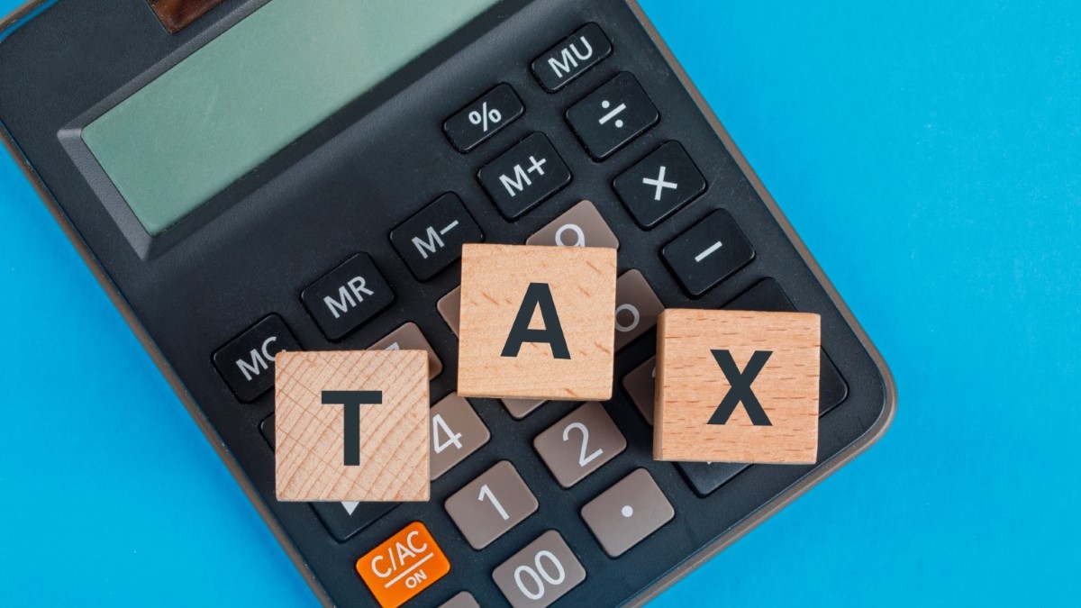 Income Tax Filing Consultant